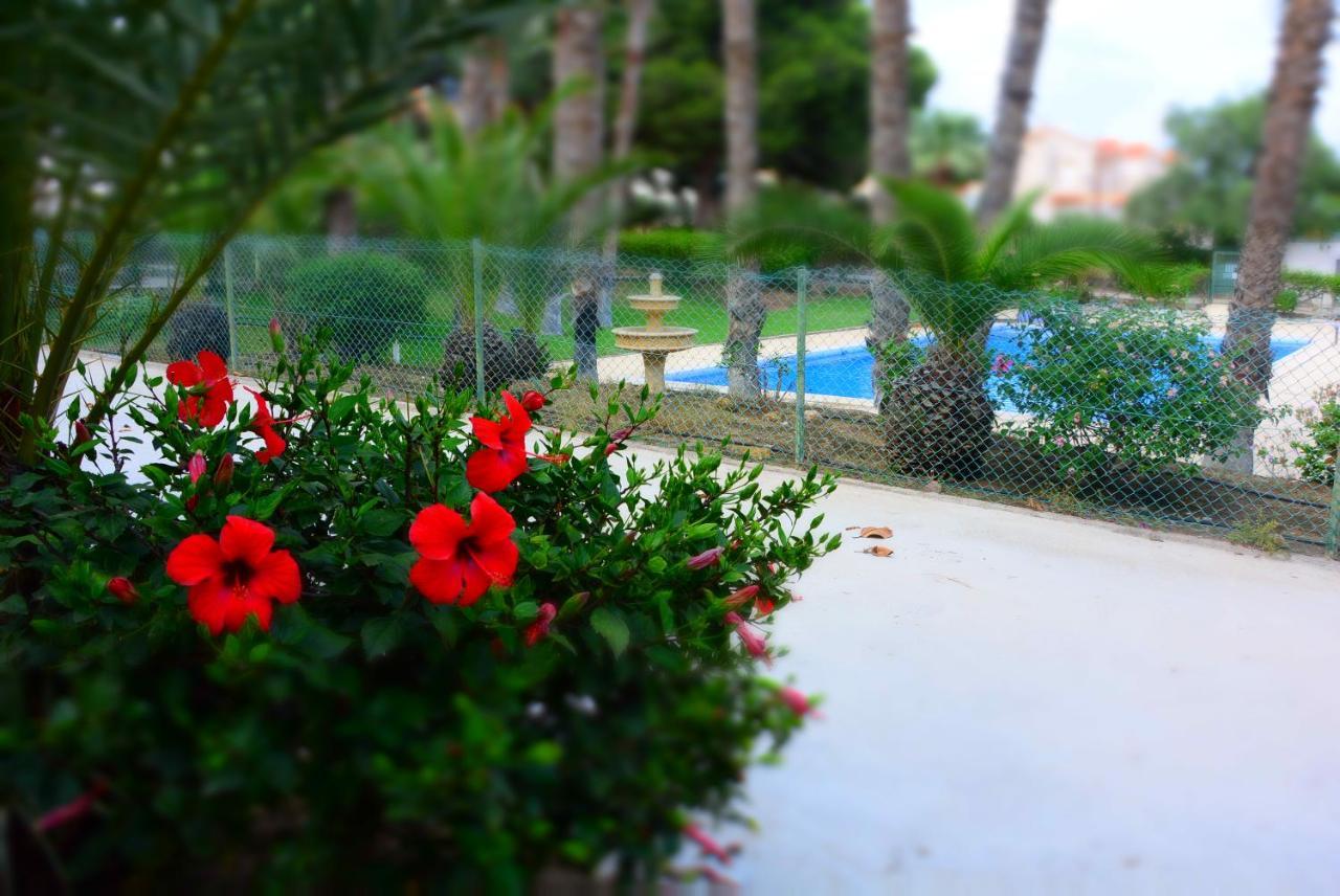 Mazarrón Palmeras, Piscina, Campo De Futbol Y Jardin Privados מראה חיצוני תמונה