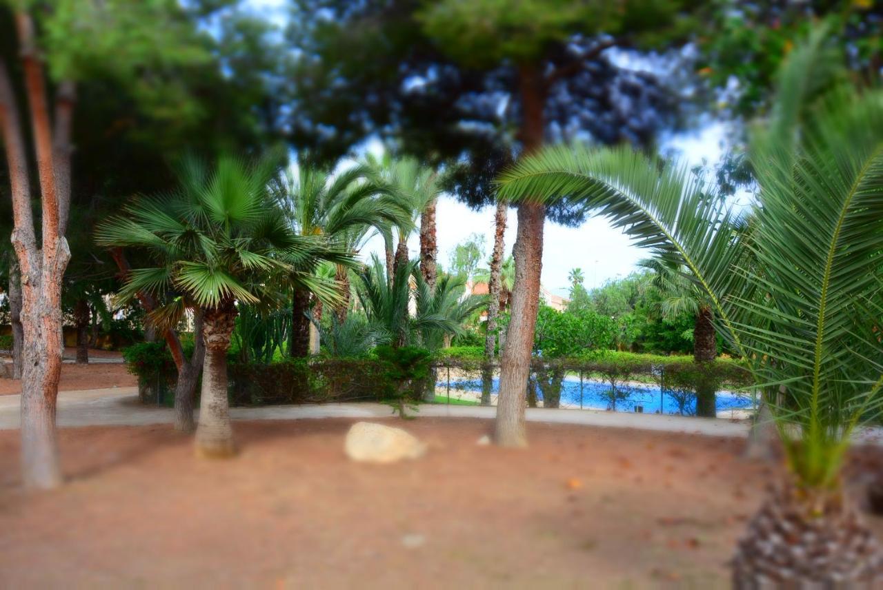 Mazarrón Palmeras, Piscina, Campo De Futbol Y Jardin Privados מראה חיצוני תמונה