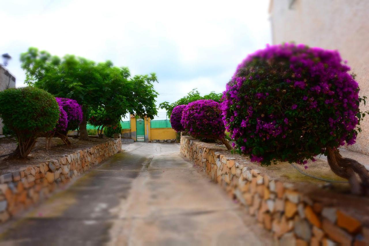 Mazarrón Palmeras, Piscina, Campo De Futbol Y Jardin Privados מראה חיצוני תמונה