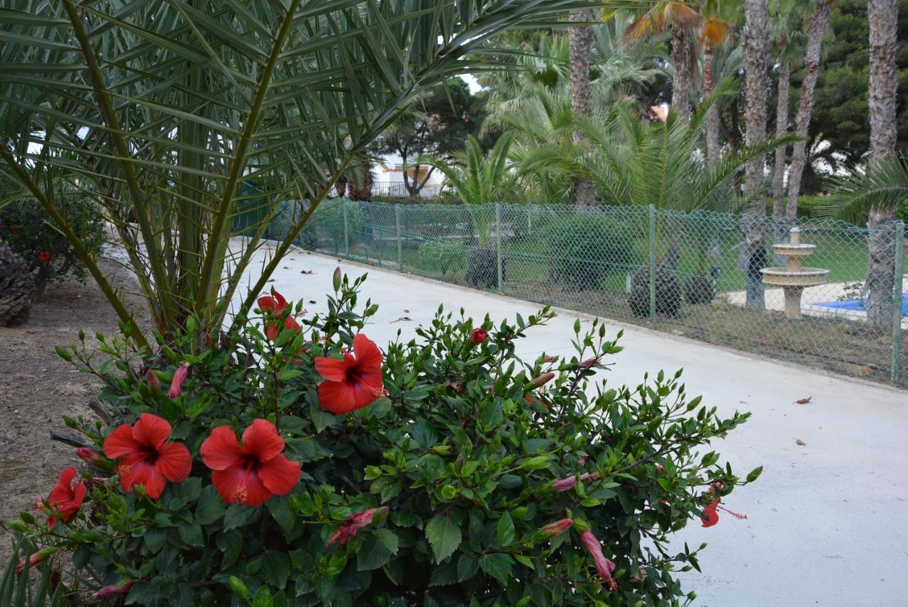 Mazarrón Palmeras, Piscina, Campo De Futbol Y Jardin Privados מראה חיצוני תמונה
