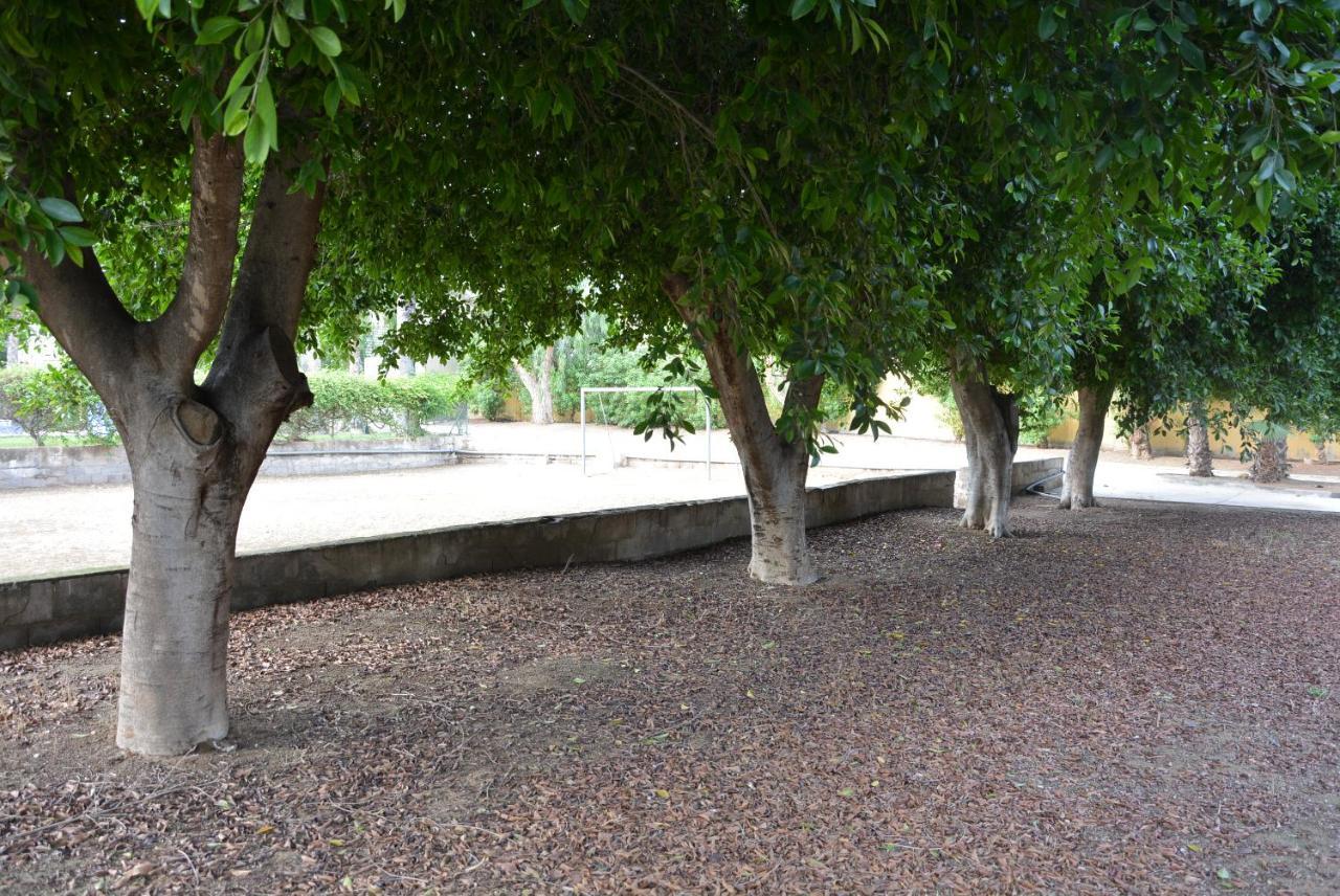 Mazarrón Palmeras, Piscina, Campo De Futbol Y Jardin Privados מראה חיצוני תמונה